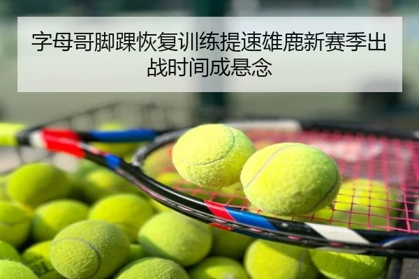 字母哥脚踝恢复训练提速雄鹿新赛季出战时间成悬念